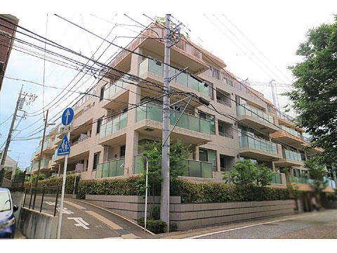 現地外観写真 外観①