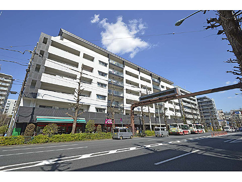 現地外観写真 外観