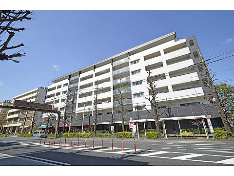 現地外観写真 外観