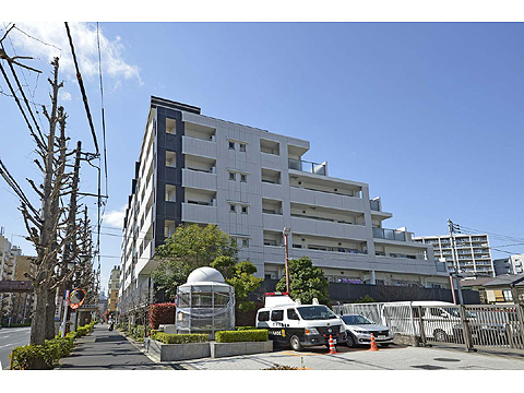 現地外観写真 外観