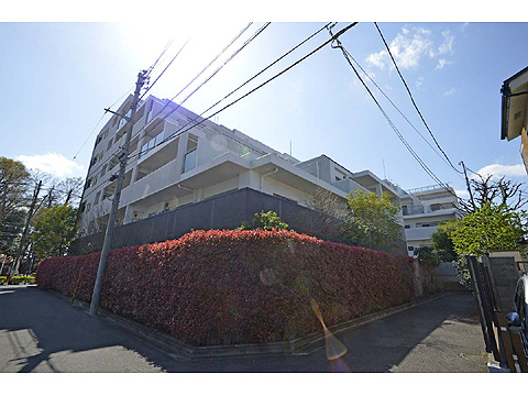 現地外観写真 外観