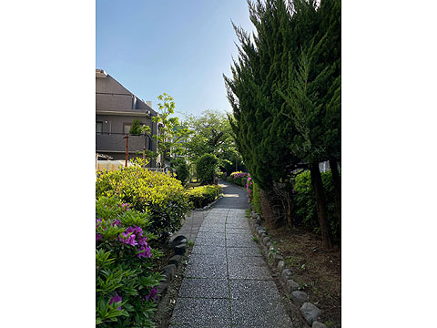 現地外観写真　緑道側からの外観