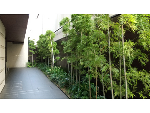 エントランス エントランスアプローチ