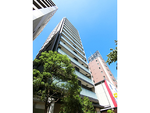 現地外観写真 外観