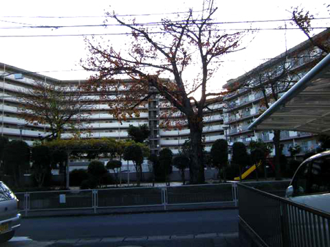 その他共用部 外観5