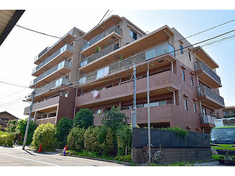 現地外観写真 外観