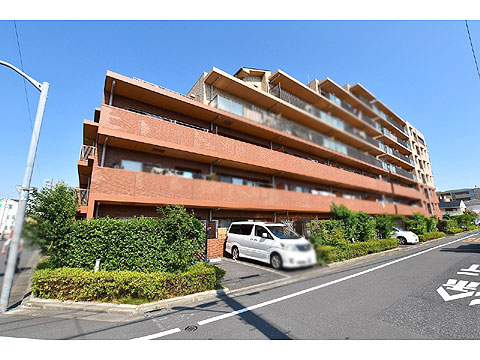 現地外観写真 外観