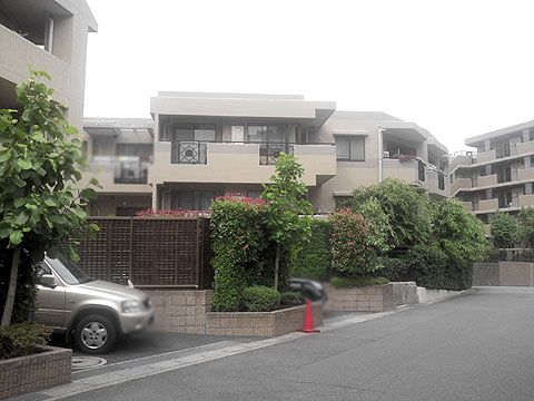 現地外観写真 外観