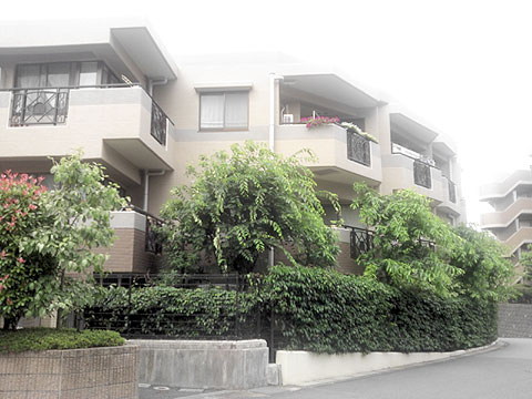 現地外観写真 外観