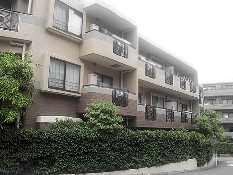 現地外観写真 外観