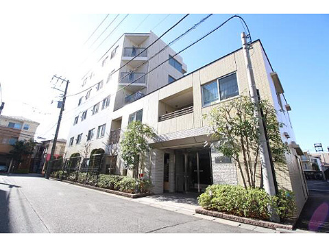 現地外観写真 外観