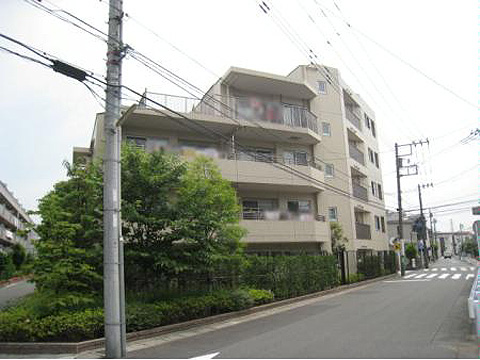 現地外観写真 外観