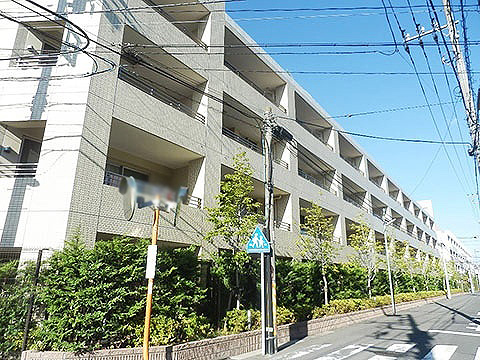 現地外観写真 外観