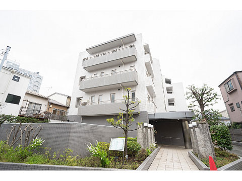 現地外観写真 外観