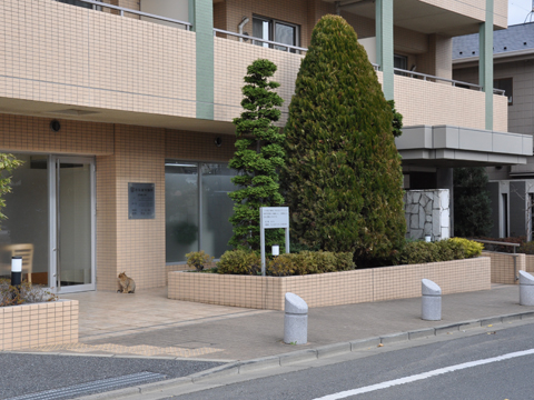 その他共用部　外観3