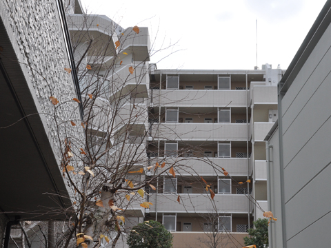 その他共用部　外観5