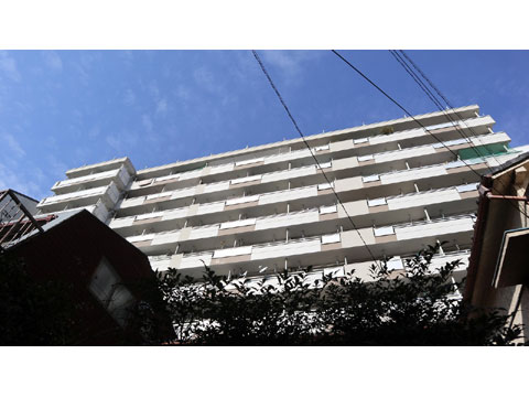 現地外観写真 外観