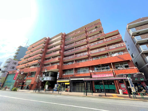 現地外観写真 外観