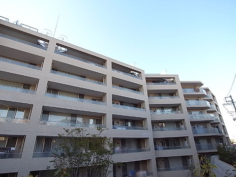 現地外観写真 外観