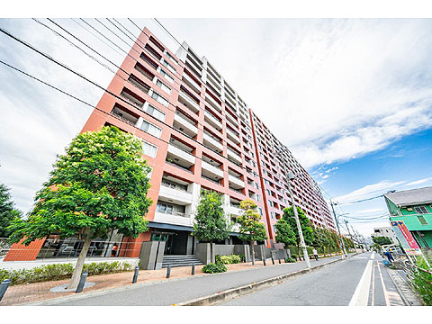 現地外観写真 外観