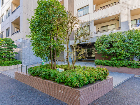 現地外観写真　R0023194