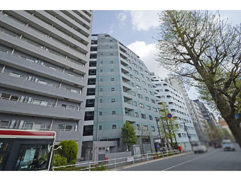 現地外観写真　_DSC4848