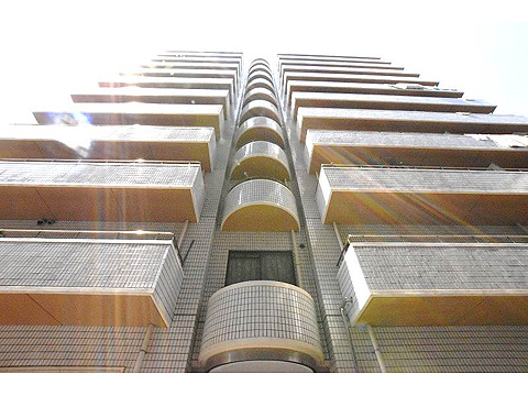 現地外観写真 外観フォルム