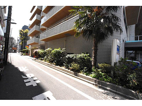 現地土地写真 エントランス前歩道