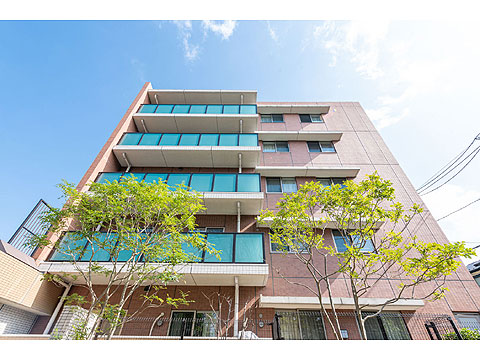 現地外観写真 見上げ