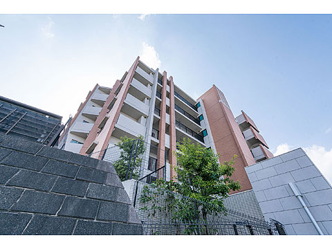 現地外観写真 外観