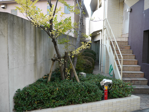 その他共用部　写真１