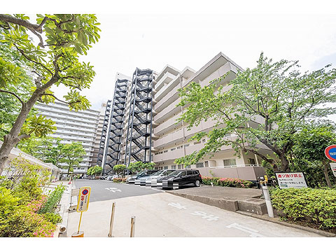 現地外観写真 外観