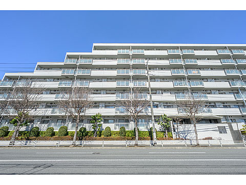 現地外観写真　白いタイルを基調とした外観