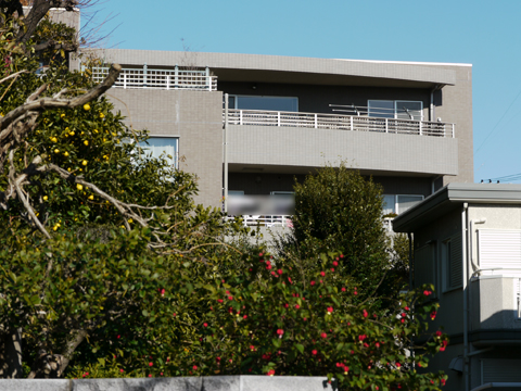 その他共用部 外観5