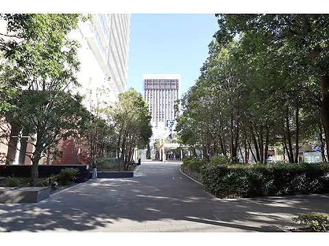 現地外観写真　IMG_0329