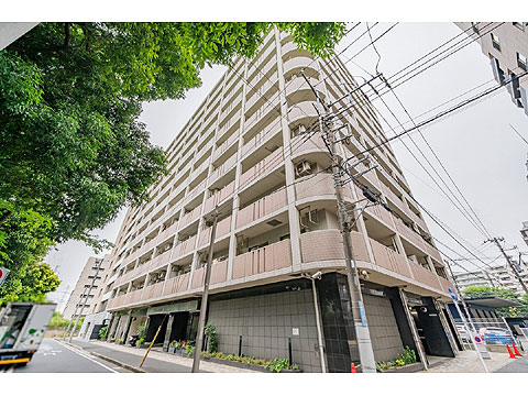 現地外観写真 外観