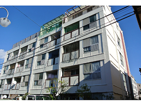 現地外観写真 外観