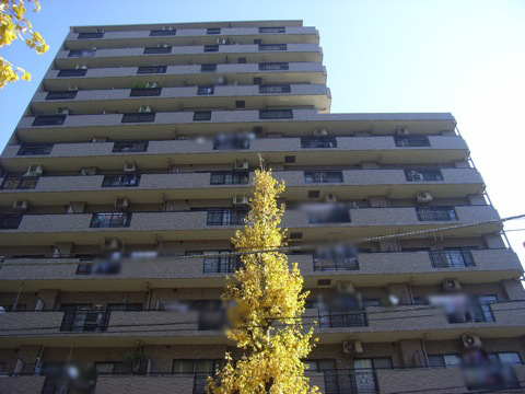 その他共用部 外観3