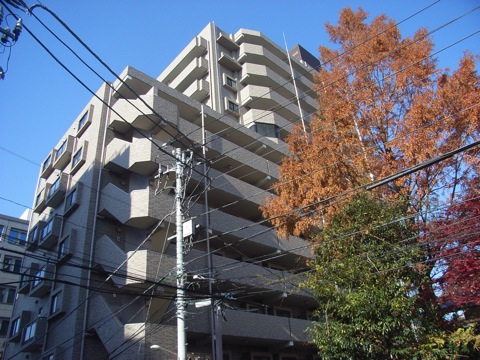 その他共用部 外観5