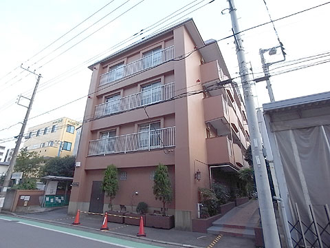 現地外観写真 外観