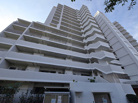 現地外観写真 外観4