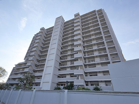 現地外観写真 外観8