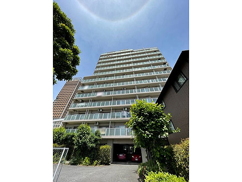 現地外観写真 外観