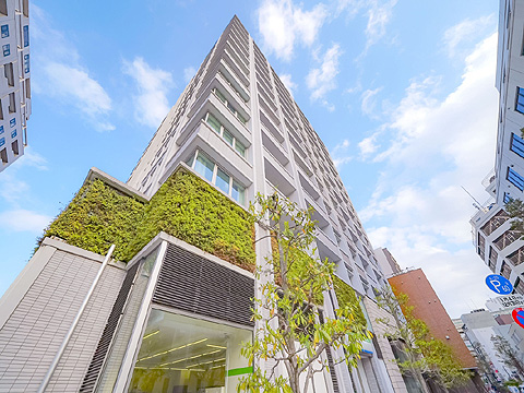 現地外観写真 2012年竣工、13階建