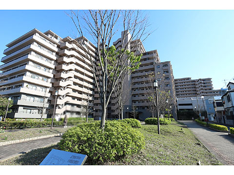 現地外観写真 外観