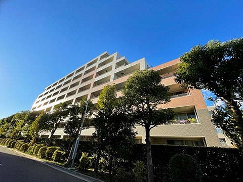 現地外観写真　外観