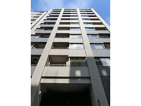 現地外観写真 棟写真たて(ザ・シティタワー大手前センチュリー