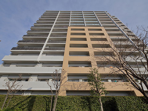 現地外観写真 外観4