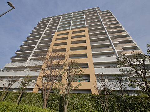 現地外観写真 外観5