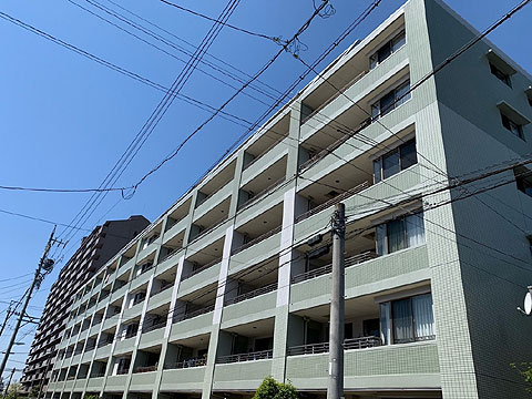 現地外観写真　建物外観（南東側）